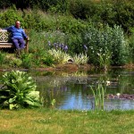 Bracken House large pond