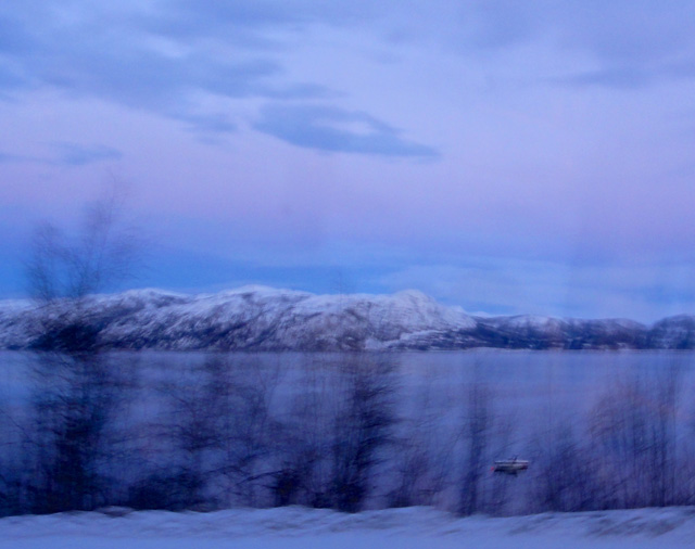 The 'blue light' photographed from a bus near Alta River.
