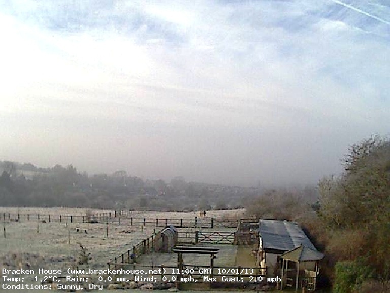Webcam image taken at 11:00 on January 10th 2013, showing the fog and frost.