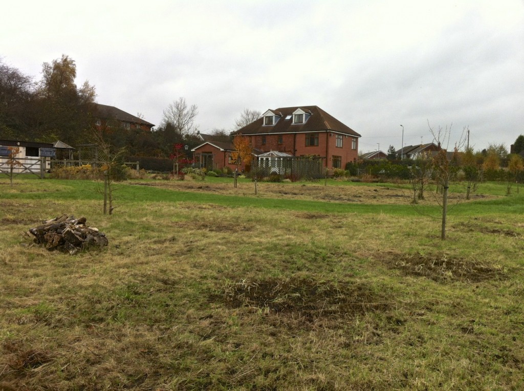 This view of the wildflower meadow shows the bare patches remaining after grass cuttings were burned.