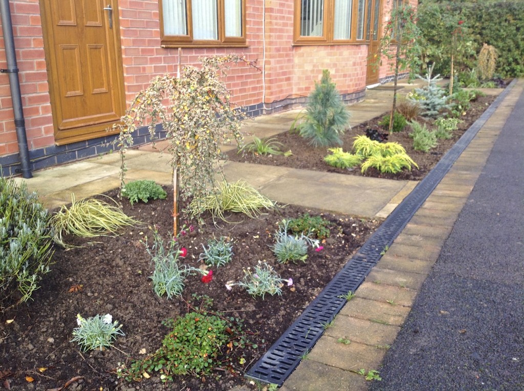 Newly planted front flower border.
