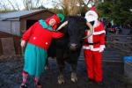 Christmas Open Day success